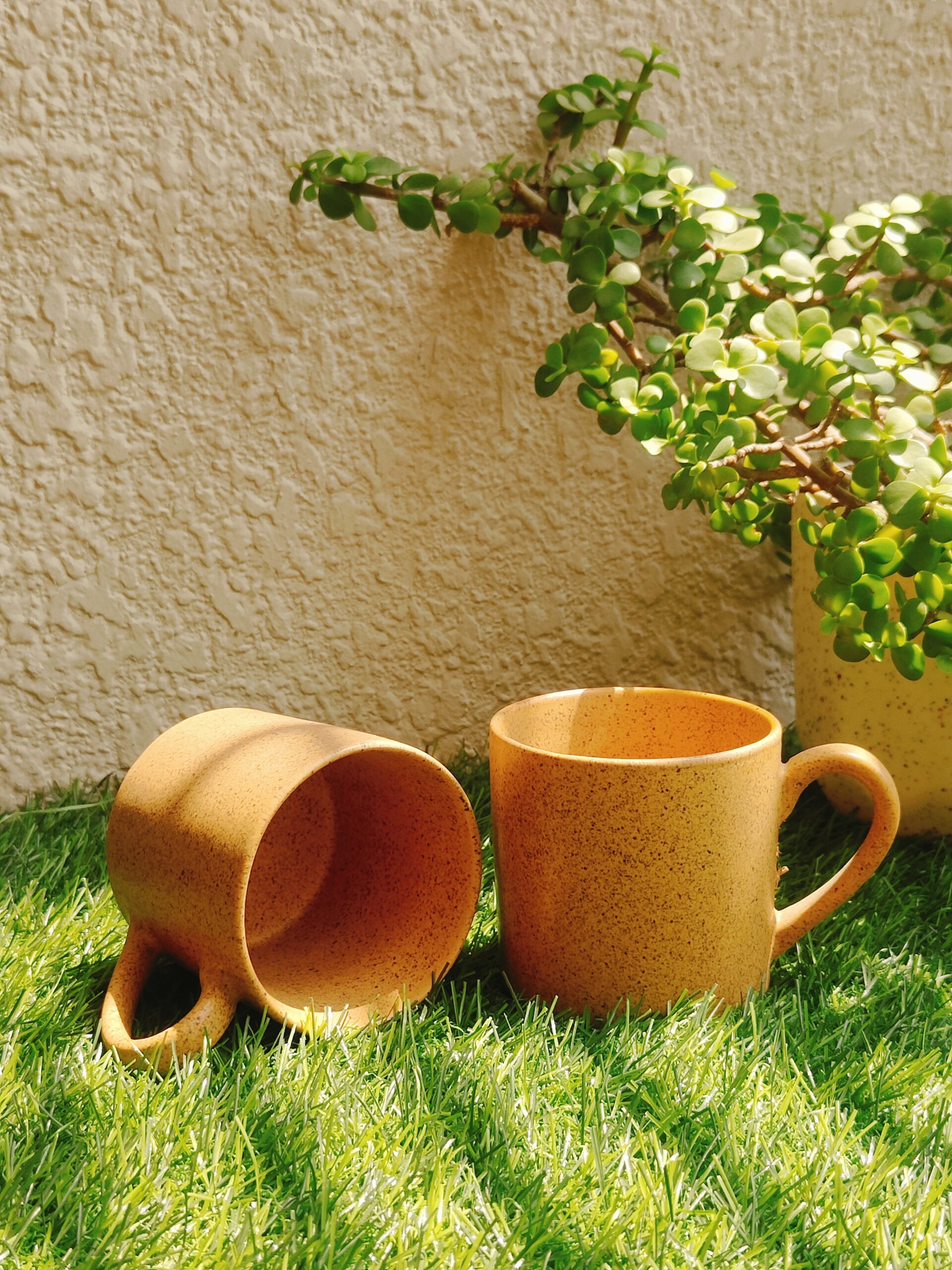 Mustard Dune Ceramic Mug set