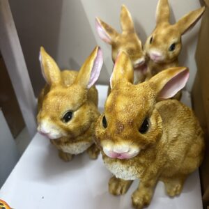 rabbit pair